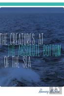 The Creatures At The Absolute Bottom Of The Sea