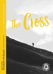 The Cross: Food For The Journey  - Themes
