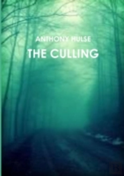 Bertrand.pt - The Culling