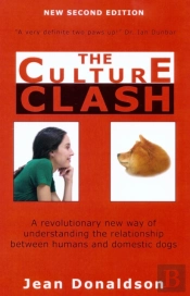 The Culture Clash