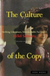 The Culture Of The Copy