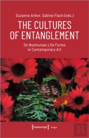 The Cultures Of Entanglement