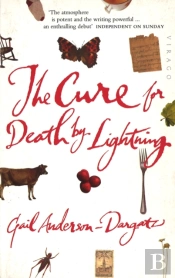 The Cure For Death By Lightning