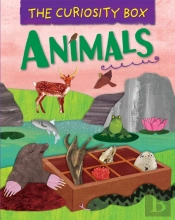 The Curiosity Box: Animals