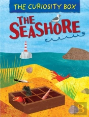 The Curiosity Box: The Seashore