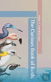 The Curious Book Of Birds