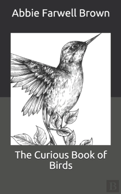 Bertrand.pt - The Curious Book Of Birds