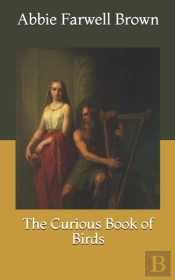 The Curious Book Of Birds