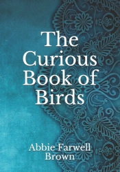 The Curious Book Of Birds