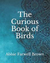 The Curious Book Of Birds