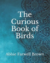 The Curious Book Of Birds