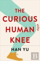 The Curious Human Knee