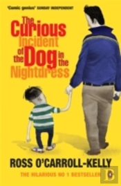 The Curious Incident Of The Dog In The Nightdress