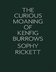 The Curious Moaning Of Kenfig Burrows