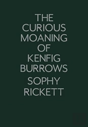 The Curious Moaning Of Kenfig Burrows