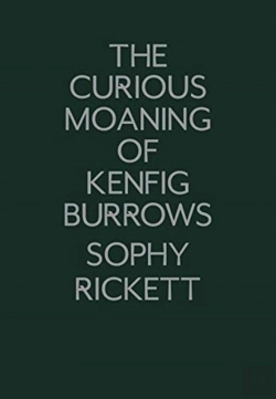 Bertrand.pt - The Curious Moaning Of Kenfig Burrows