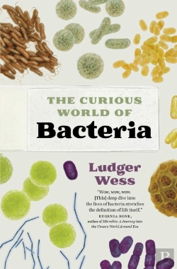 Bertrand.pt - The Curious World Of Bacteria