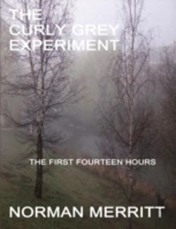 Bertrand.pt - The Curly Grey Experiment
