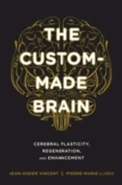 The Custom-Made Brain