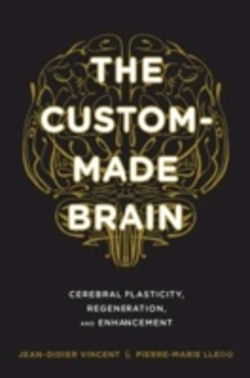 Bertrand.pt - The Custom-Made Brain
