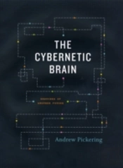 The Cybernetic Brain