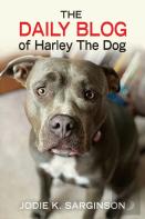 The Daily Blog Of Harley The Dog