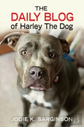The Daily Blog Of Harley The Dog
