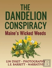 The Dandelion Conspiracy