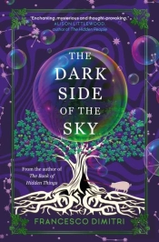The Dark Side Of The Sky