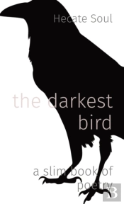 The Darkest Bird