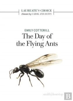 Bertrand.pt - The Day Of The Flying Ants