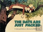 The Days Are Just Packed