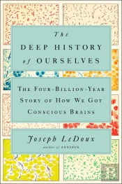 The Deep History Of Ourselves