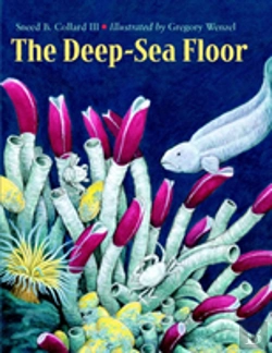 Bertrand.pt - The Deep-Sea Floor