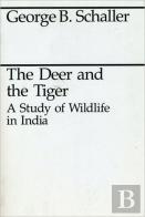 The Deer And The Tiger