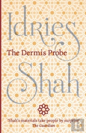 The Dermis Probe