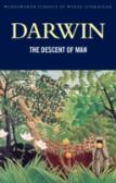 The Descent Of Man