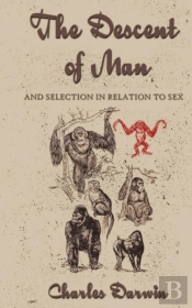 The Descent Of Man