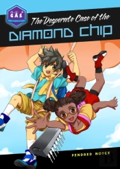The Desperate Case Of The Diamond Chip