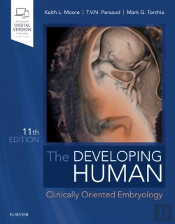 Bertrand.pt - The Developing Human