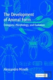 The Development Of Animal Form