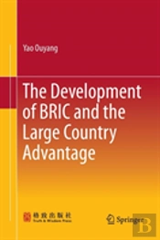 The Development Of Bric And The Large Country Advantage
