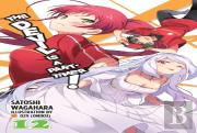 The Devil Is A Part-Timer!, Vol. 12 (Light Novel)