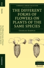 The Different Forms Of Flowers On Plants Of The Same Species
