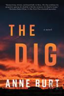 The Dig
