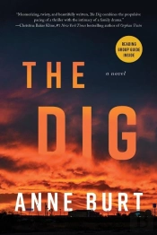 The Dig