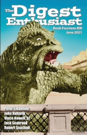 The Digest Enthusiast #14bw