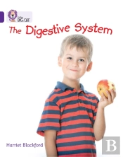 The Digestive System