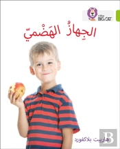 The Digestive System