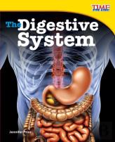 The Digestive System
